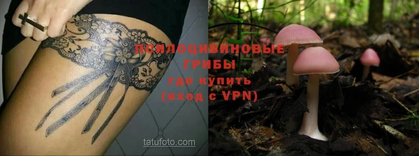 гидра Армянск