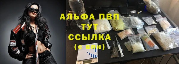 молекула духа Арсеньев
