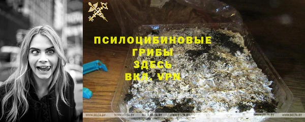 молекула духа Арсеньев