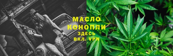 молекула духа Арсеньев