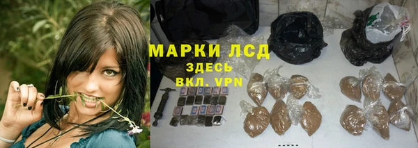 молекула духа Арсеньев
