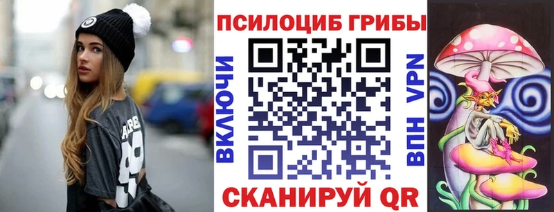 сколько стоит  Балей  Галлюциногенные грибы GOLDEN TEACHER 